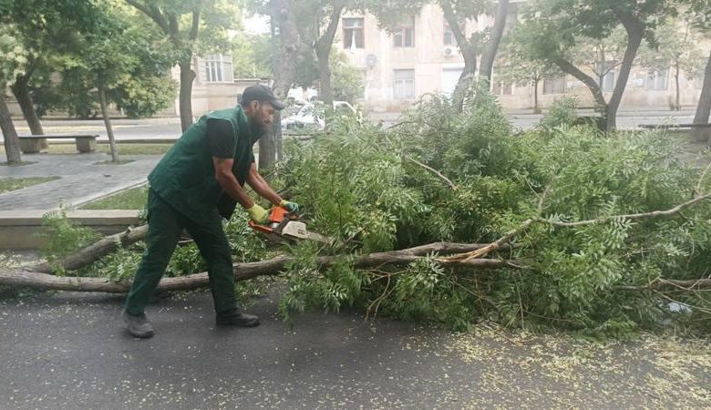 Bakıda küləyin fəsadları aradan qaldırılıb