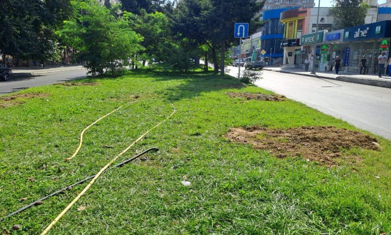 Bakıda qanunsuz tikinti aparmaq istəyirdilər, İcra Hakimiyyəti dərhal müdaxilə etdi - FOTO