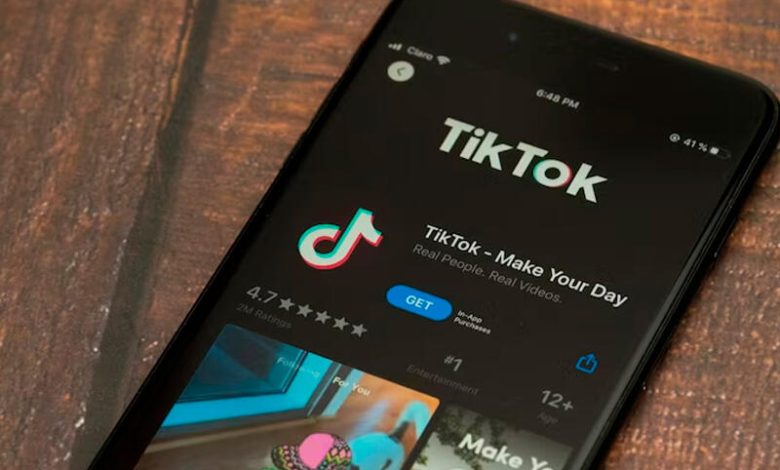 "Tiktok"da ordu ilə bağlı yalan məlumat yayan şəxs tutuldu