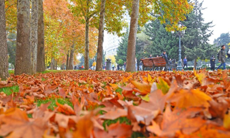 Noyabr ayı üçün hava proqnozu açıqlandı