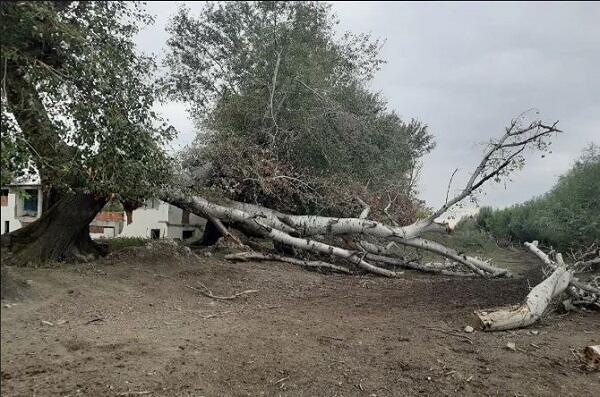 Ağstafada külək bu məşhur parkı məhv etdi