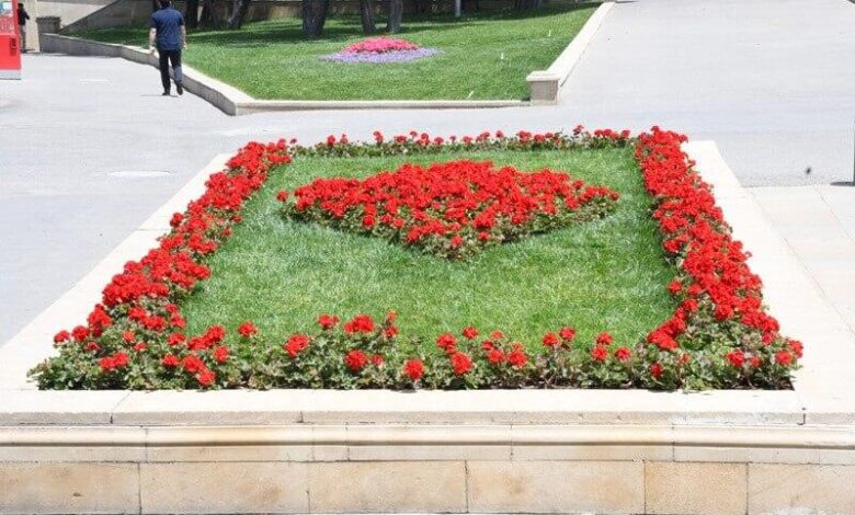 Bakıda yeni parklar salınır - FOTO