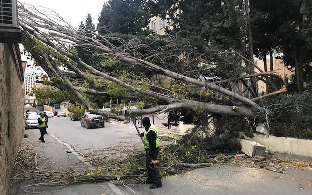 Başına ağac düşən 21 yaşlı Rəvan vəfat etdi