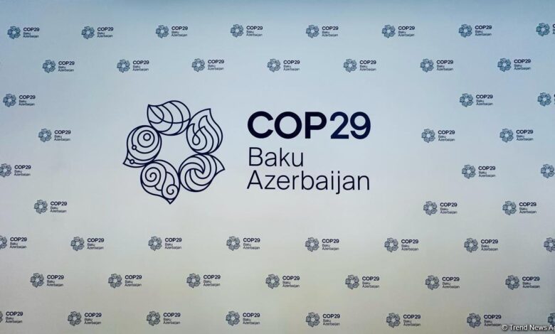 COP29-un Azərbaycanda keçirilməsi ölkəmizə nə qazandıracaq?