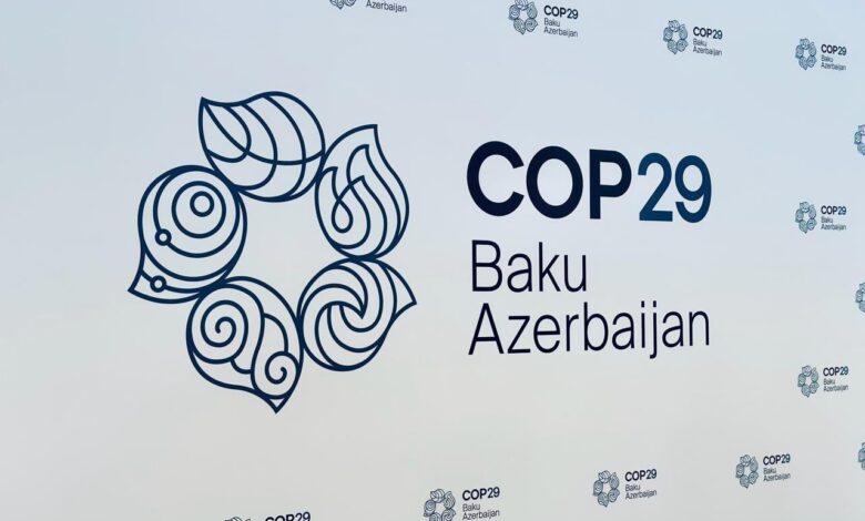 COP29 viza müraciət sistemi aktivləşdirildi