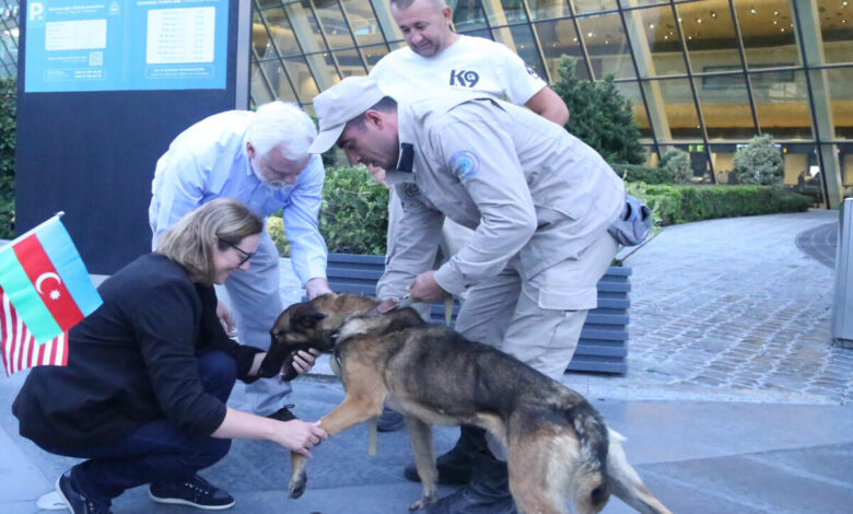 ABŞ Azərbaycana iki minaaxtaran it yolladı