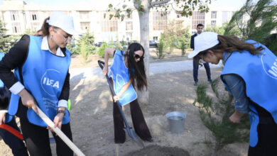 Leyla Əliyevanın iştirakı ilə Bakıda növbəti ağacəkmə aksiyası keçirilib