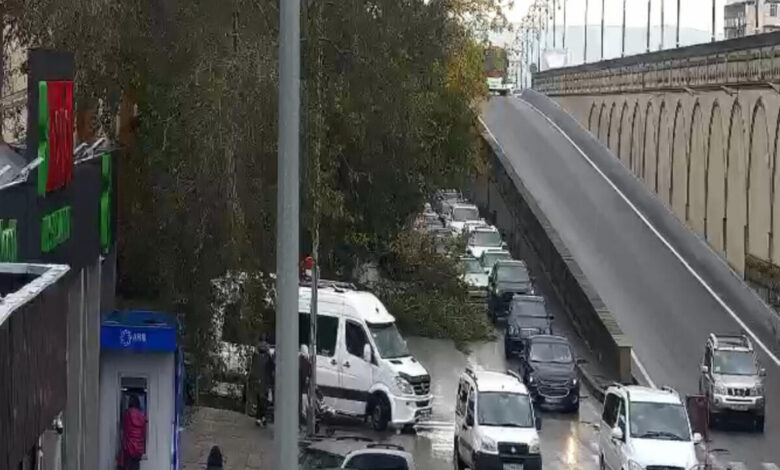 Babək prospektində köməkçi yolda ağac aşdı