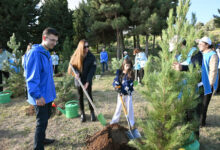 Bakıda növbəti ağacəkmə aksiyası keçirilib