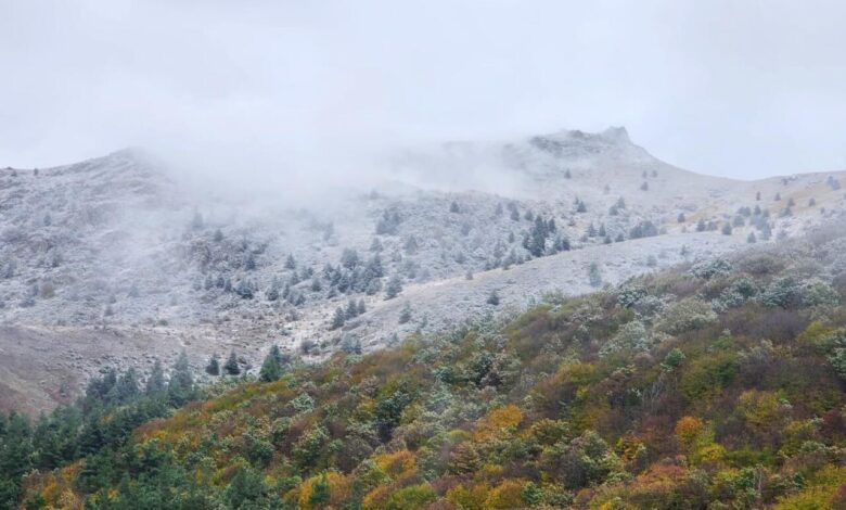 Bu rayona güclü qar yağdı - FOTO