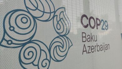 COP29 iştirakçılarının akkreditasiya kartlarının verilməsinə başlanılır