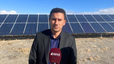 Naxçıvanda "yaşıl enerji" istehsalı üçün 8 min hektara yaxın ərazi ayrılıb