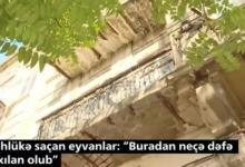 Qəzalı eyvanlar: başınızı daşdan qoruyun