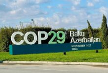 COP29-da qeydiyyatdan keçənlərin sayı açıqlandı