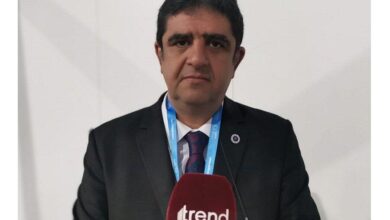 "COP29-un bütün ölkələrə təcrübə qazandıracağına ümid edirik"