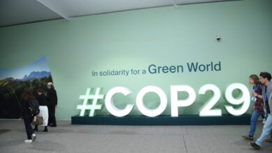 COP29-un doqquzuncu günündən FOTOREPORTAJ