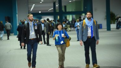 COP29-un səkkizinci günündən FOTOREPORTAJ