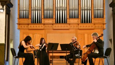 “Kamera musiqisi axşamı” adlı konsert keçirilib