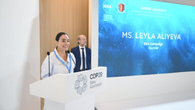 Leyla Əliyeva COP29 çərçivəsində dəniz canlılarına dair panel müzakirələrində iştirak edib