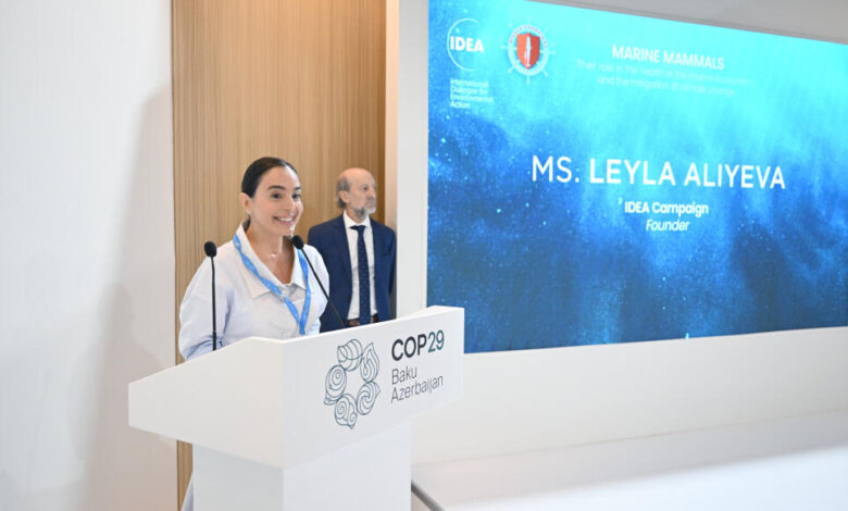 Leyla Əliyeva COP29 çərçivəsində dəniz canlılarına dair panel müzakirələrində iştirak edib